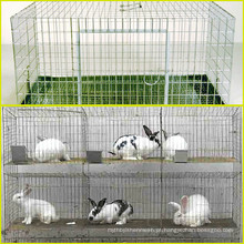 Gaiola de coelho e gaiola de coelho usada à venda em Anping County